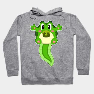 Frog Baby Pacifier Hoodie